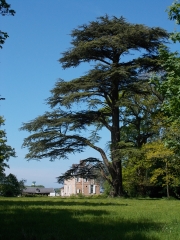 GANZEVILLE - FECAMP - ELETOT-seine-maritime