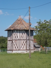 LE QUESNAY - BORD DE SEINE - FORET DE BROTONNE-seine-maritime