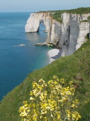 ETRETAT - OCTEVILLE-SUR-MER-seine-maritime