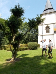 LILLEBONNE - BEBEC-seine-maritime