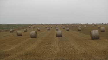 FRESNE-LES-PLAN-seine-maritime