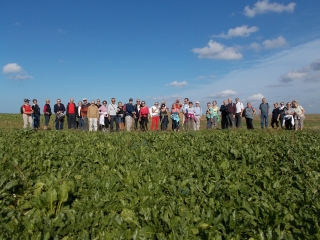 ECRAINVILLE-seine-maritime