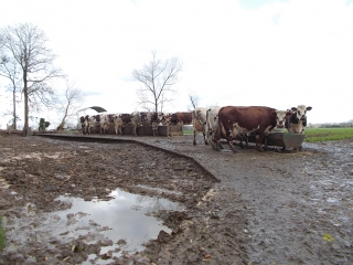 SAINNEVILLE-seine-maritime