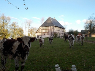 EPRETOT-seine-maritime