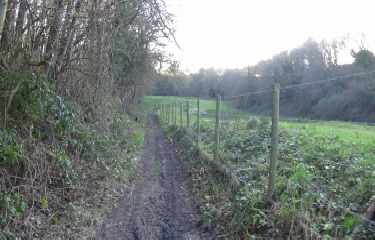 CRIQUETOT-seine-maritime