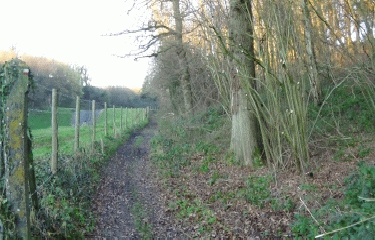 SAINT-ROMAIN-DE-COLBOSC-seine-maritime