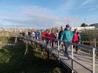 FONTAINE-LA-MALLET - FORET DE MONTGEON-seine-maritime