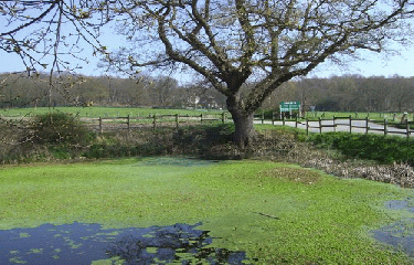 YMARE-seine-maritime