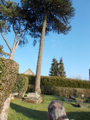 DE ST ROMAIN AUX TROIS PIERRES-seine-maritime