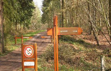 FORET DE LA LONDE-seine-maritime