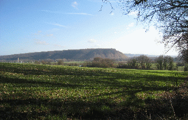 LA NEUVILLE CHANT-D OISEL-seine-maritime