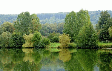 CROPUS - AUFFAY-seine-maritime