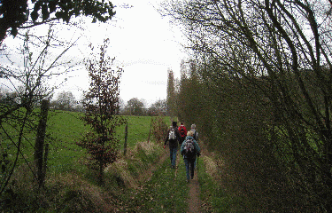 DUCLAIR - JUMIEGES-seine-maritime