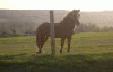 SAINT-JACQUES-D-ALIERMONT-seine-maritime