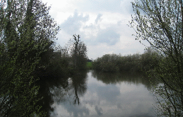FRANQUEVILLE-SAINT-PIERRE-seine-maritime