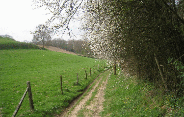FRANQUEVILLE-SAINT-PIERRE-seine-maritime