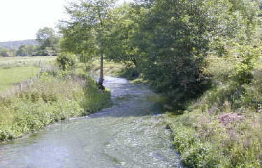 REBETS-seine-maritime