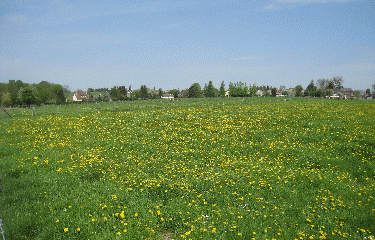 EPINAY-seine-maritime