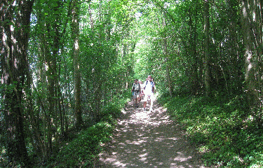 FONTAINE-SOUS-PREAUX-seine-maritime