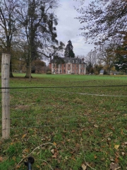 FORET DE LA LONDE-seine-maritime