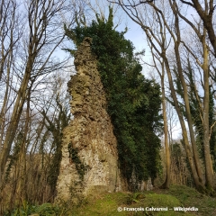 HAUTOT-SUR-MER - DE LA VALLEE DE LA SCIE AU BOIS DE BERNOUVILLE-seine-maritime