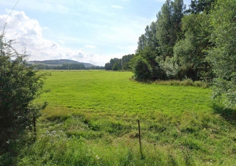 DAMPIERRE-SAINT-NICOLAS - CIRCUIT DE PIMONT-seine-maritime