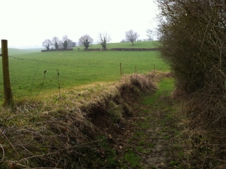 PAYS DE BRAY-seine-maritime