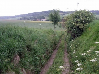 CIRCUIT DE BAILLEUL-NEUVILLE-seine-maritime