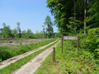 RICHEMONT – LA BIENFAISANCE-seine-maritime