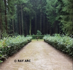 DANCOURT – CIRCUIT DE LA REINE MèRE-seine-maritime
