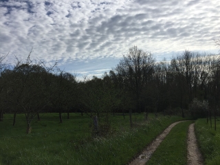 ENVERMEU (76) - LES COTEAUX DU BAILLY BEC-seine-maritime
