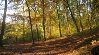 OISSEL-seine-maritime