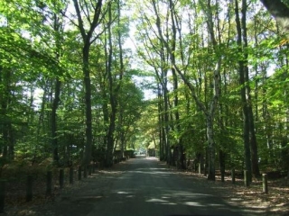 RONCHEROLLES-SUR-LE-VIVIER-seine-maritime