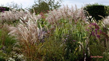 AUZOUVILLE SUR RY (2)-seine-maritime