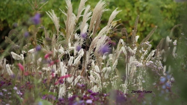 AUZOUVILLE SUR RY (2)-seine-maritime