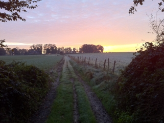 AUFFAY -seine-maritime