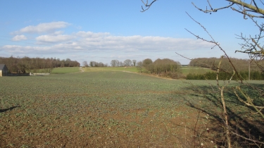 YMARE-seine-maritime