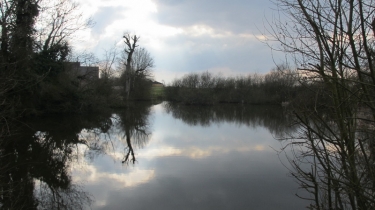 BOIS DES CHARTREUX-seine-maritime