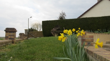 BOIS DES CHARTREUX-seine-maritime