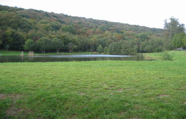La Roserie et le Bois de canteleu-seine-maritime