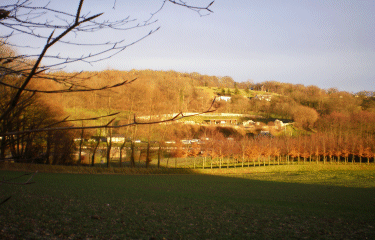 La Roserie et le Bois de canteleu-seine-maritime
