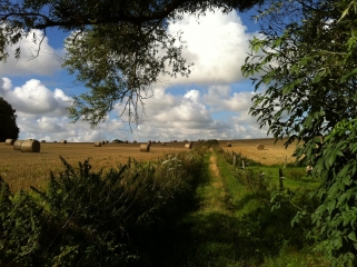 ROSAY-seine-maritime