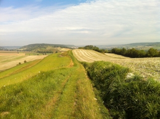TORCY-LE-PETIT-seine-maritime