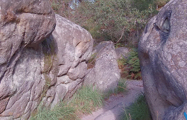 GORGES D APREMONT-seine-et-marne