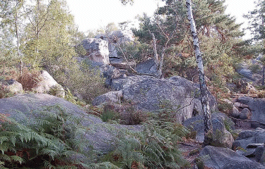 GORGES D APREMONT-seine-et-marne