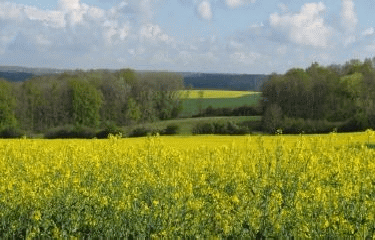 USSY-SUR-MARNE - PAYS FERTOIS - PAYS DE MEULIERS-seine-et-marne