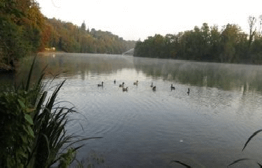 VENEUX-LES-SABLONS - LES VENELLES DE VENEUX-seine-et-marne