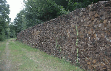 BOIS DE FERRIERE-seine-et-marne