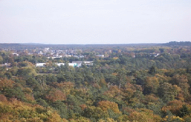 GR11(2) - FONTAINEBLEAU - SENLIS-seine-et-marne