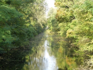 LE LONG DES CANAUX DANS LA REGION D ESBLY-seine-et-marne